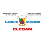 logo-_0003_Calque 18